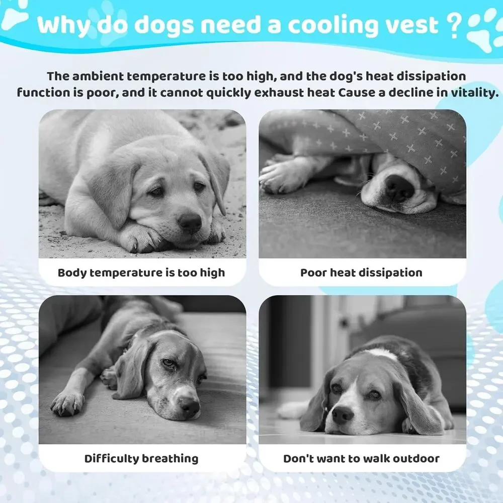 Dog Cooling Vest Harness Lightweight Cooler Jacket Sz Med w Adjustable Buckle